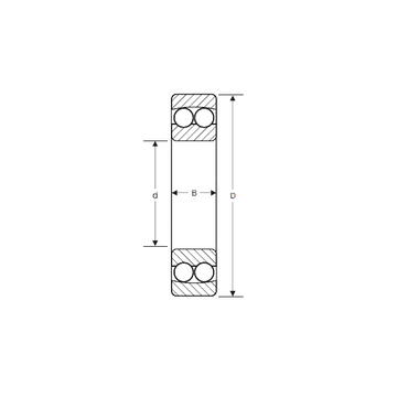 10410 SIGMA Self Aligning Ball Bearings