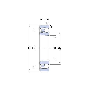 2207 EKTN9 SKF Self Aligning Ball Bearings