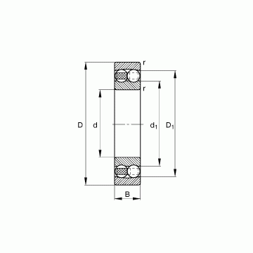 1306-TVH FAG Self Aligning Ball Bearings