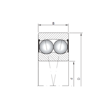 2205-2RS ISO Self Aligning Ball Bearings